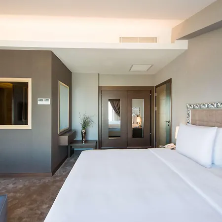 Radisson Blu Hotel, Hotel