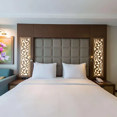 Radisson Blu Hotel, Hotel