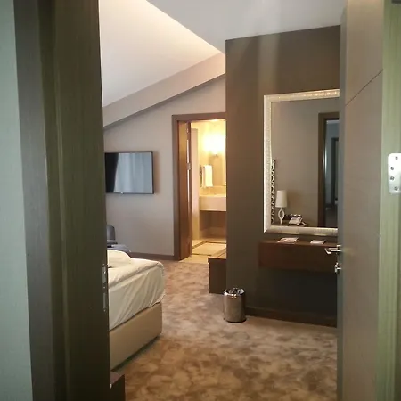 Radisson Blu Hotel,