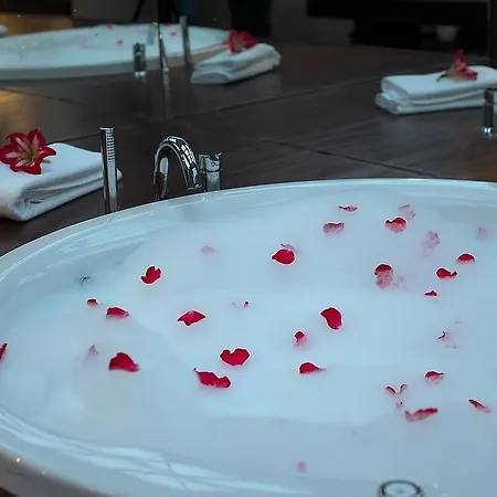 Radisson Blu Hotel, Hotel