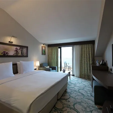 Radisson Blu Hotel, 5*