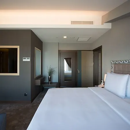 Radisson Blu Hotel, Hotel Ordu