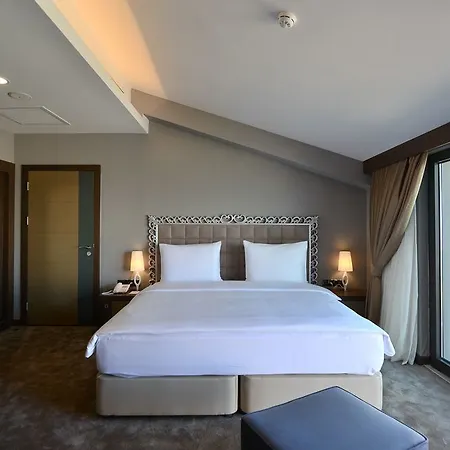 Radisson Blu Hotel, Hotel